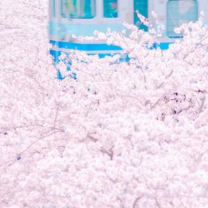 欧美性爱ⅩⅩⅩ少少女
